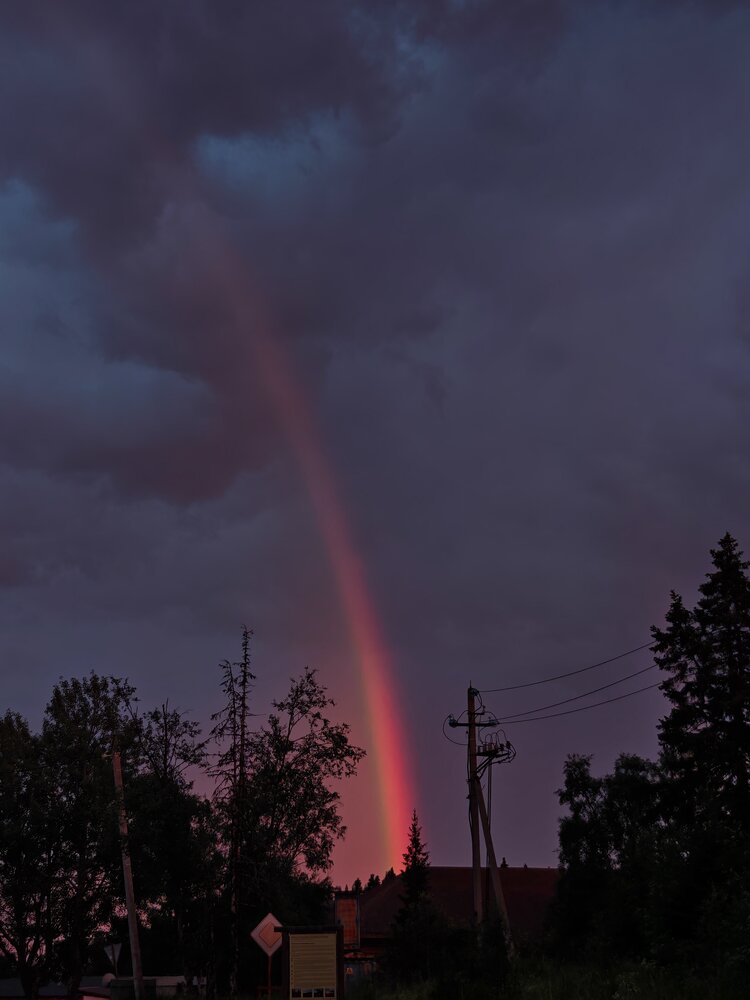 Photograph by Наталья Половая
