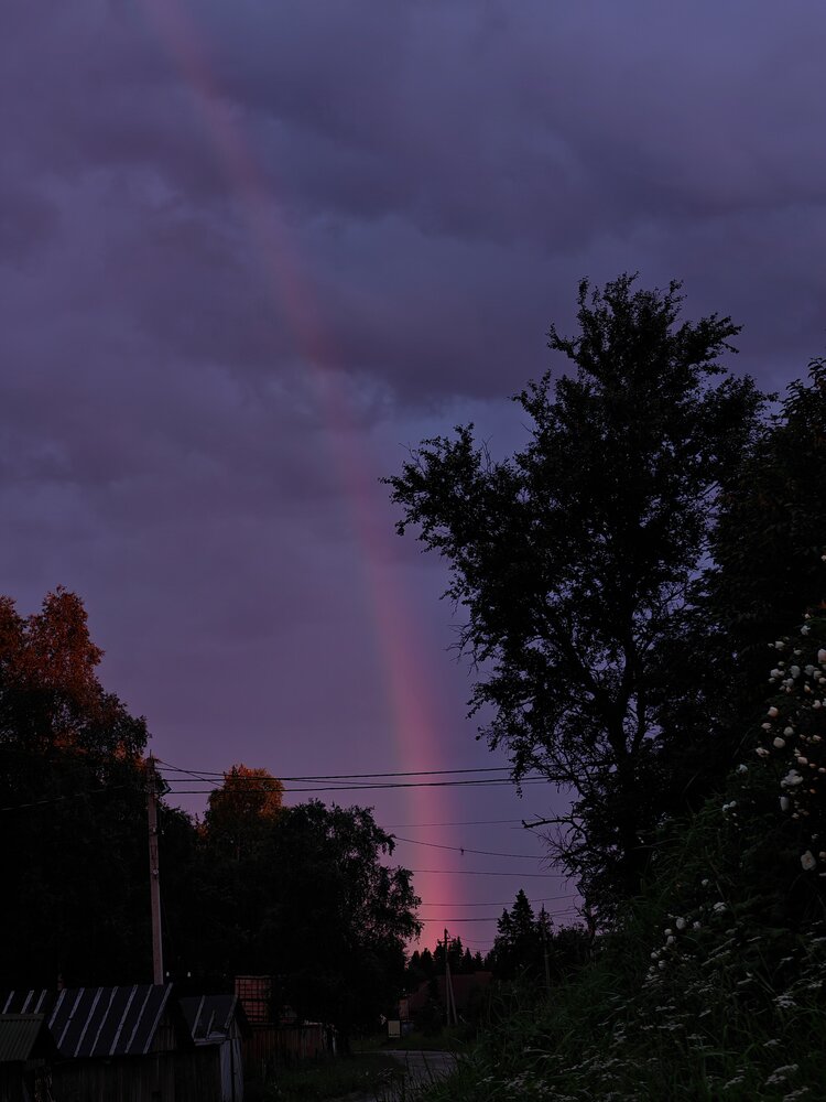 Photograph by Наталья Половая