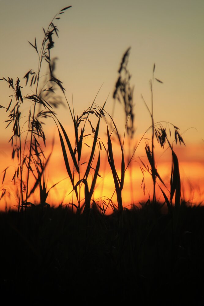 Photograph by Виктория Хмара