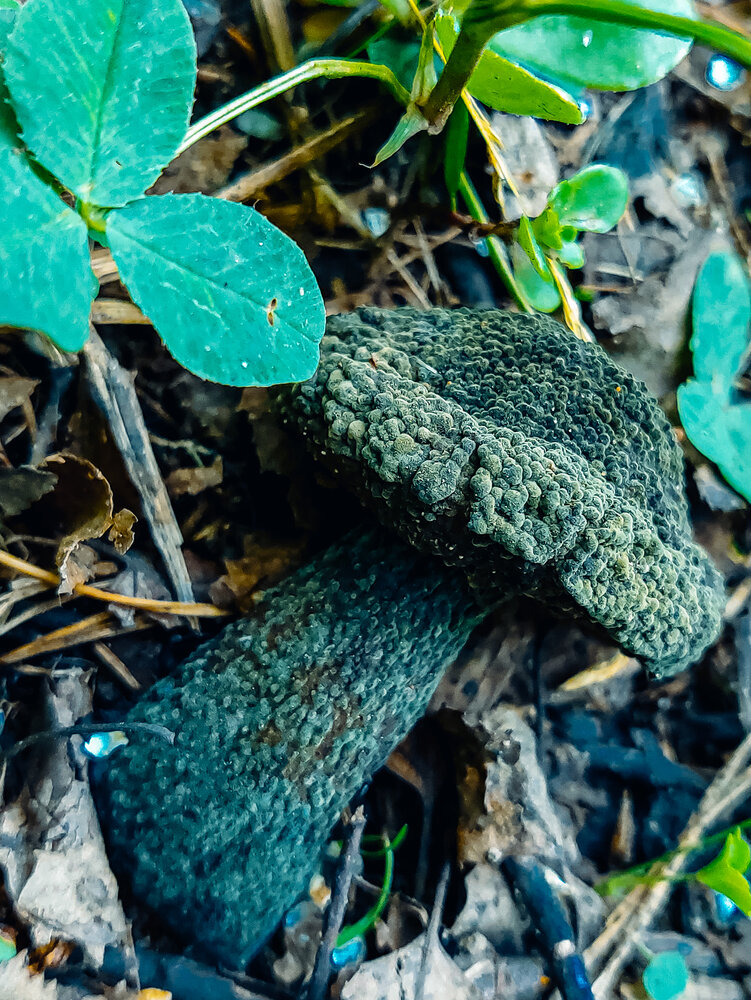 Photograph by Зульфия Вакилова
