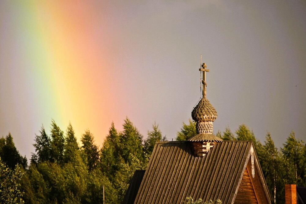 Фотография автора Светлана Парамонова
