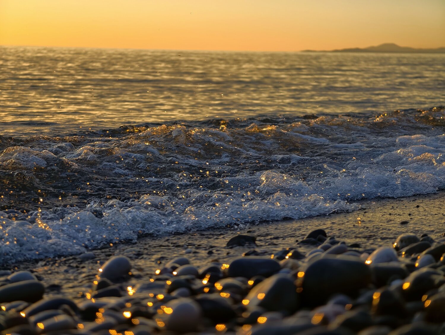 Photo #13949979