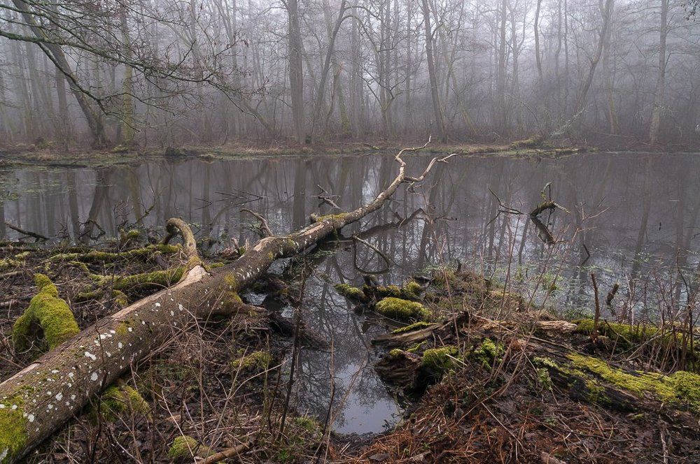 Photograph by Татьяна Рутковская