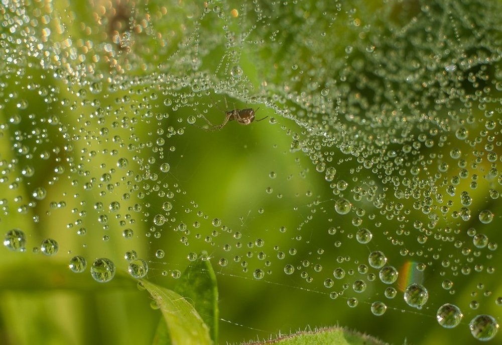 Моя вселенная