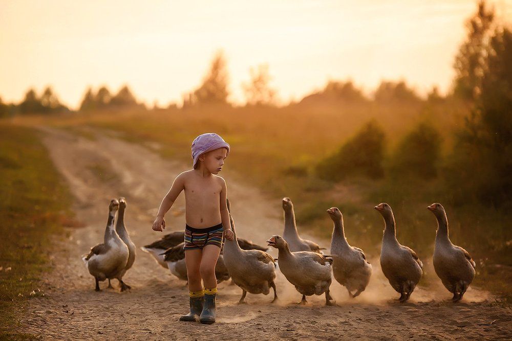 Гуси-лебеди