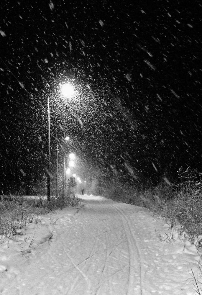 Лыжная прогулка