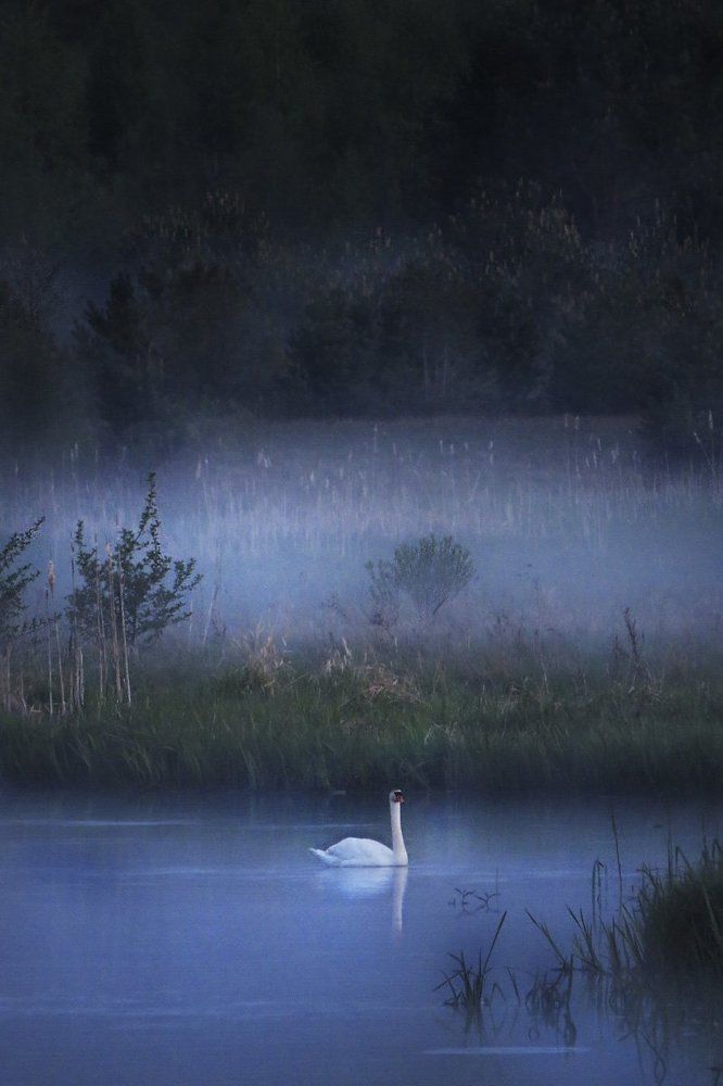 Романтика на р. Западная Березина