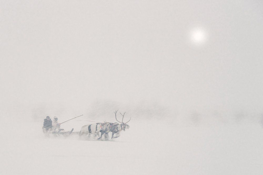 Дорога домой