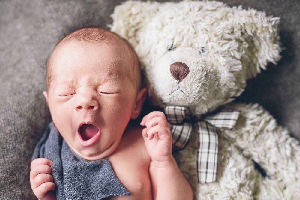 Photograph by Natalia Dauer