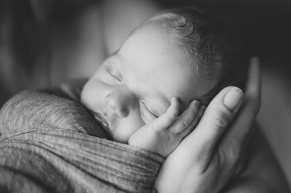 Photograph by Natalia Dauer