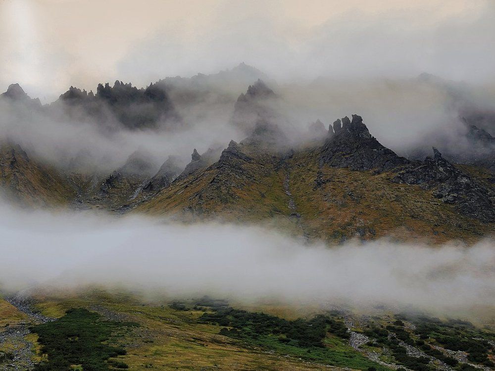 Дикие земли