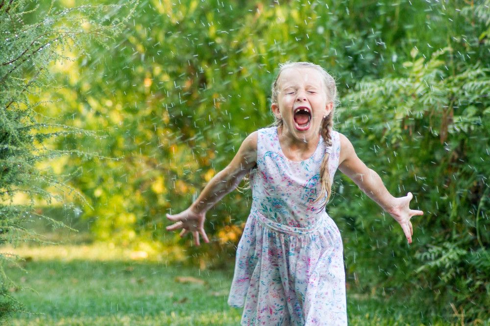 Счастливое лето