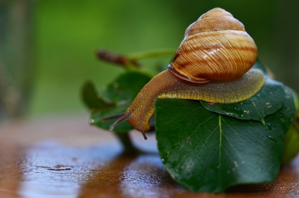 After rain comes fair weather