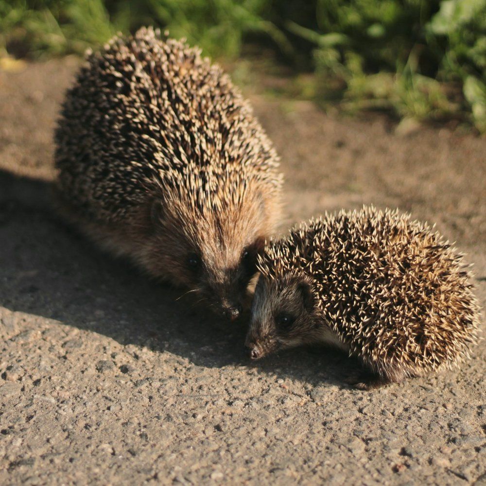 Photograph by Кристина