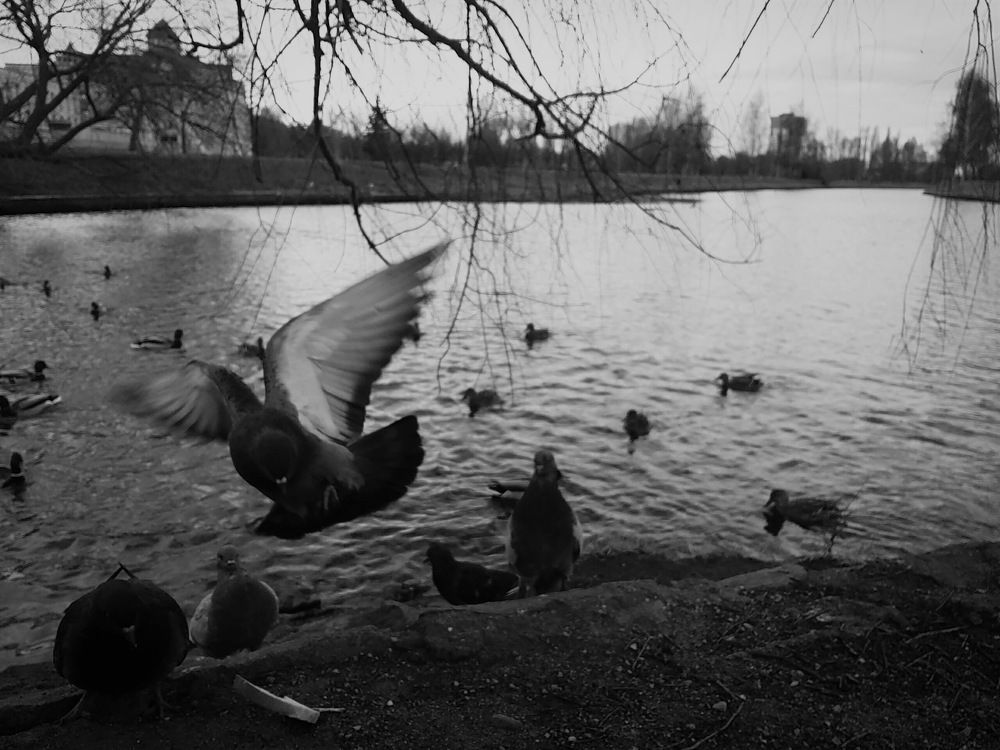 когда просыпаются мечты