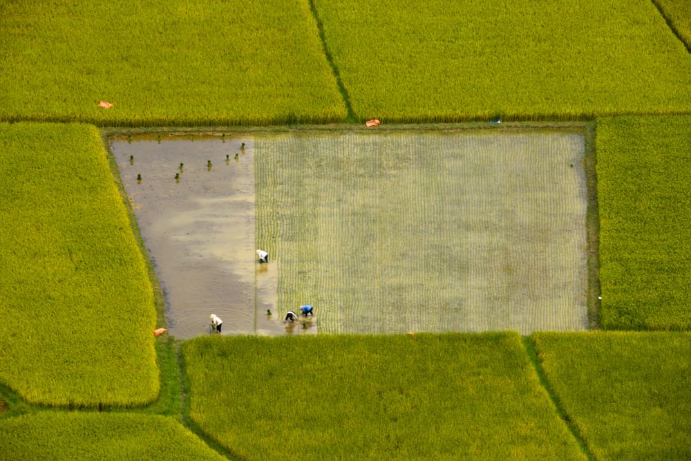 Текстильщиков.