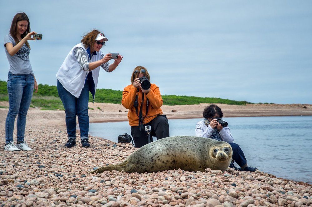 -Эй, фотографы, а я то здесь!