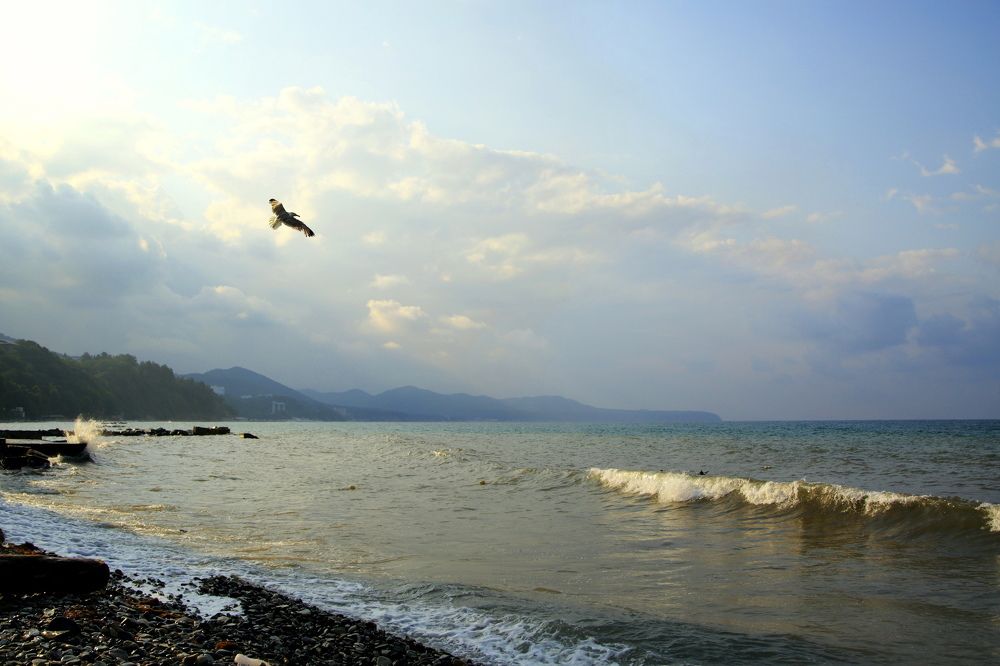 Пока мгла не закрыла утро