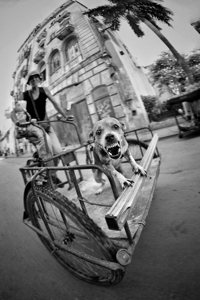 Последний кадр фотографа