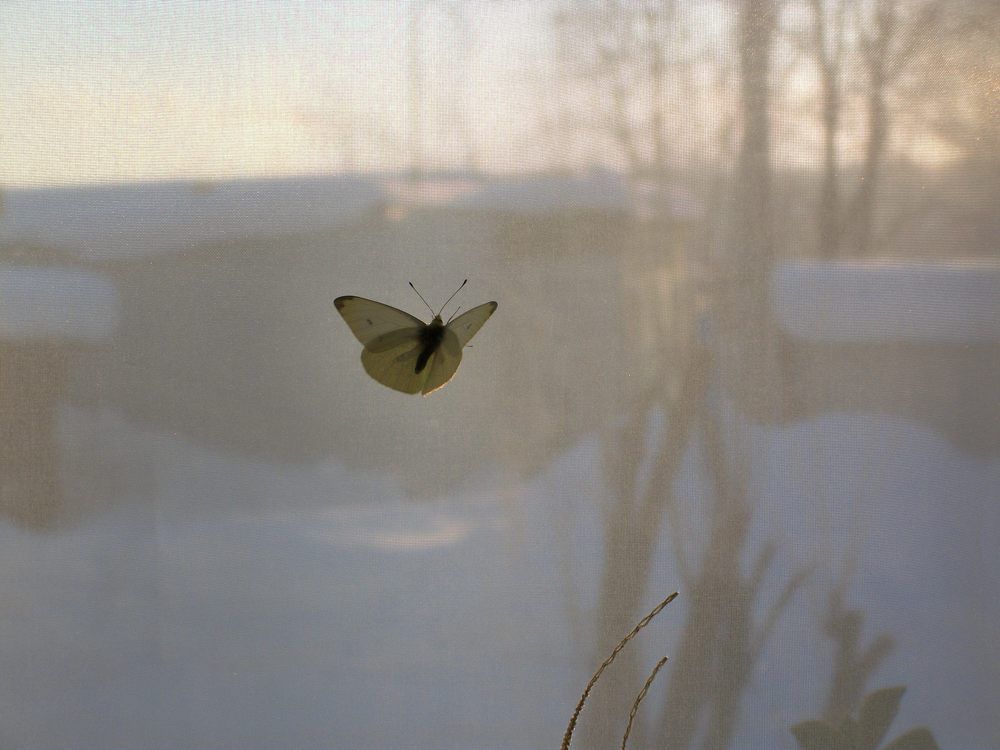 Сдвиг по времени.