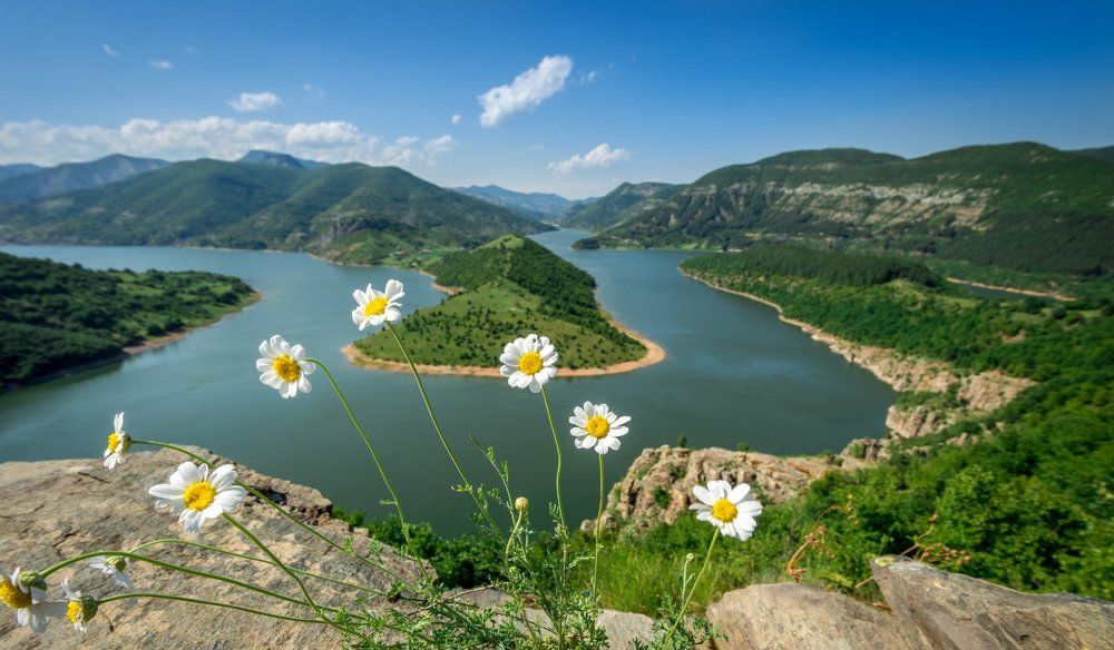 Photograph by Mary Avedissian