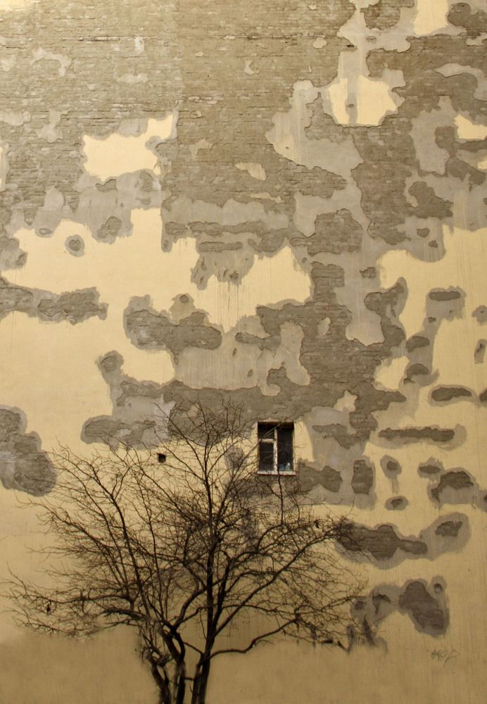 В безмятежности энтропии