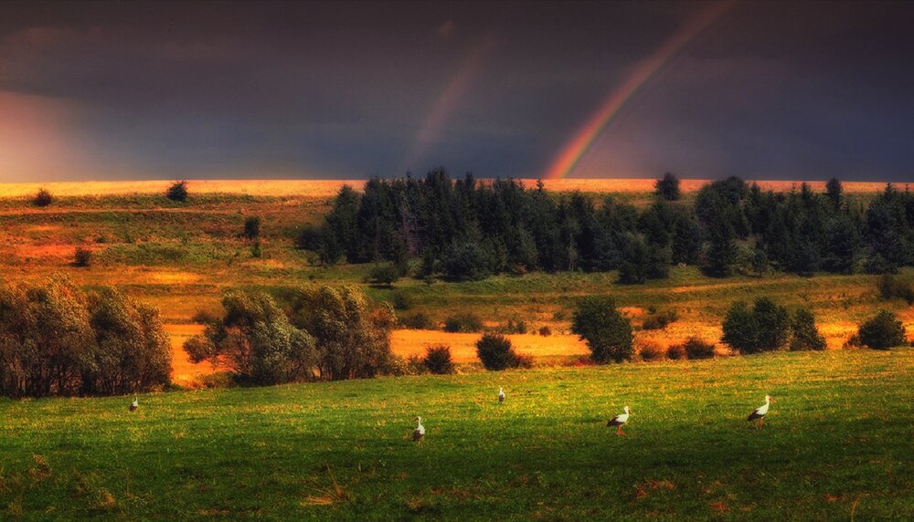 Photograph by Владимир