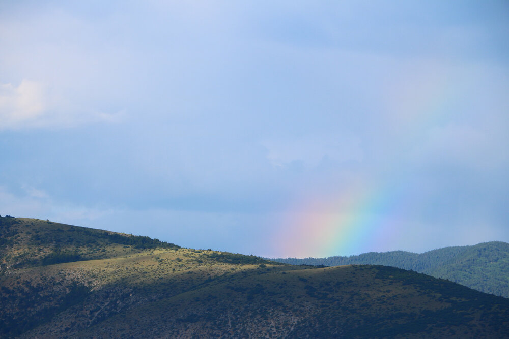 Photograph by Cengiz Yalcin