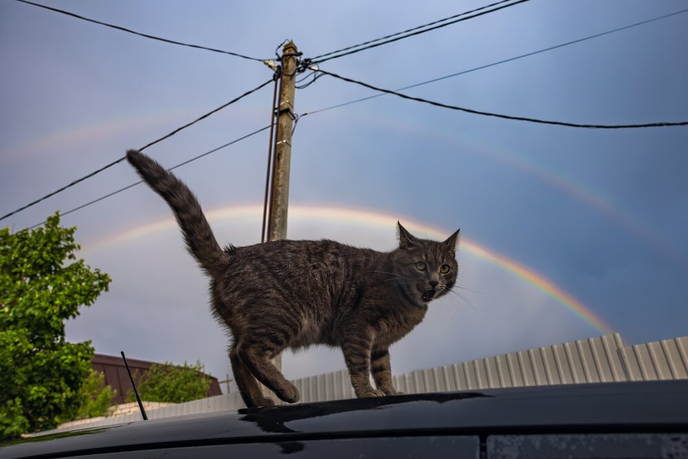 Photograph by Хабаров Сергей