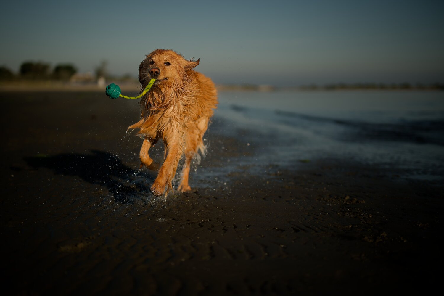 Photo #13950143