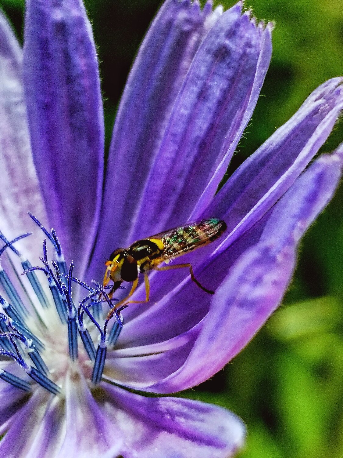 Photo #13950192