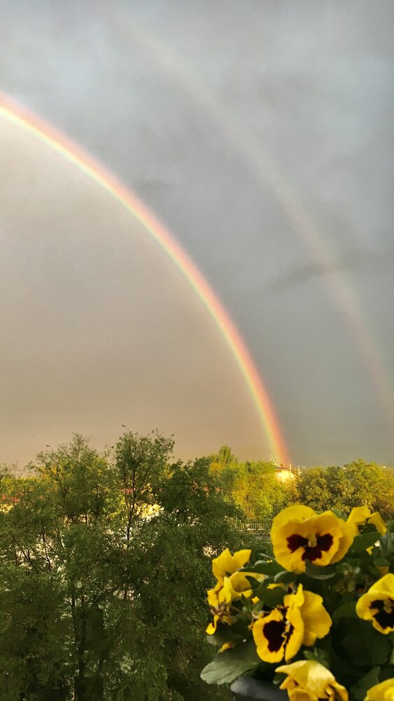 Photograph by Ольга Бибекина