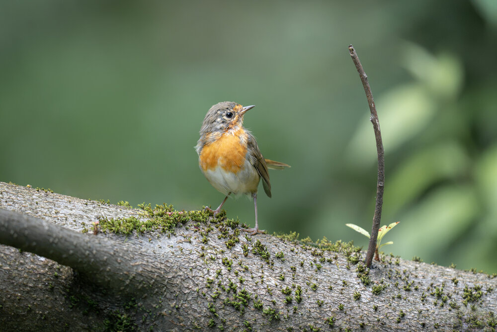 Photograph by Гончар Юлия
