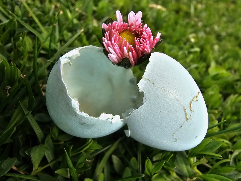 Photograph by Елена Ямнюк