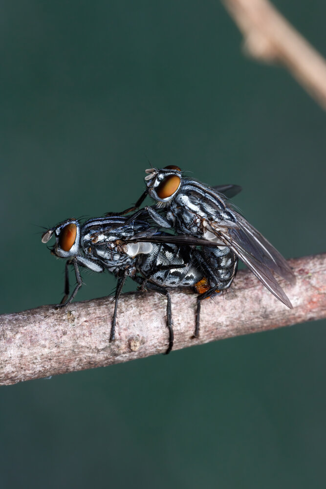 Photograph by Cassius Cardoso