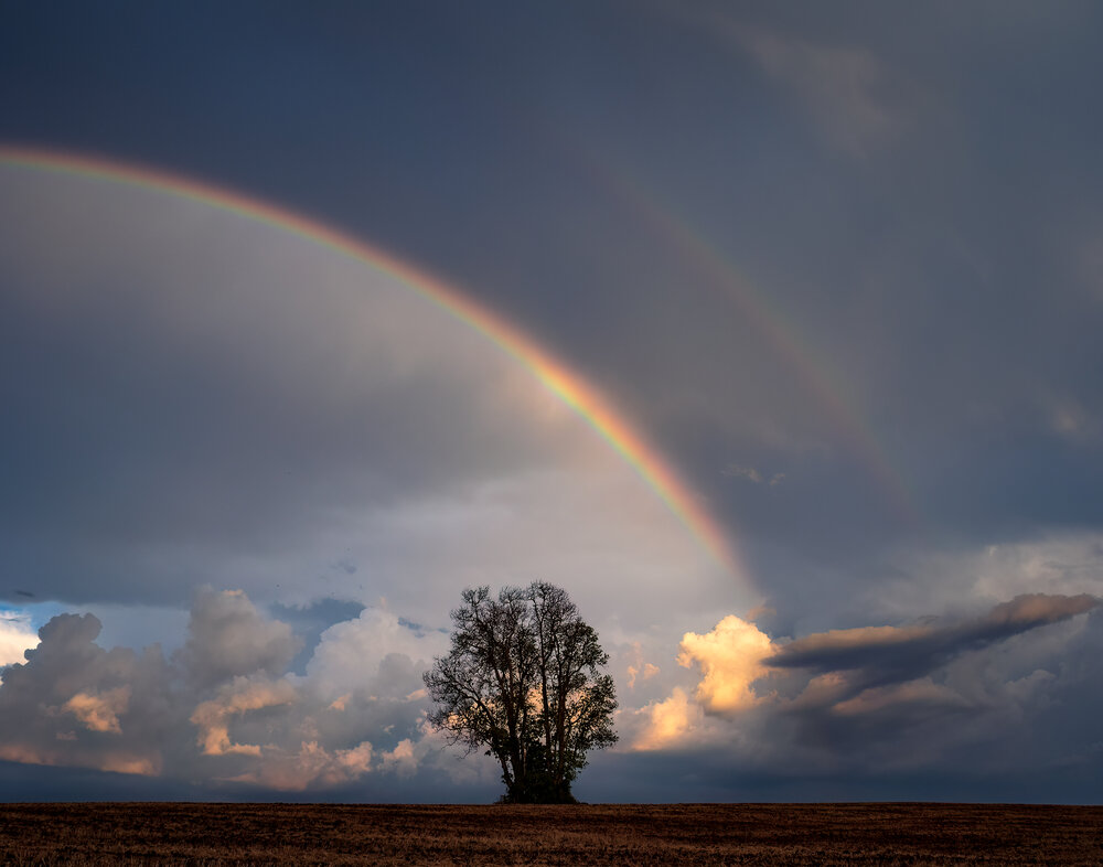Photograph by Valdir Hobus