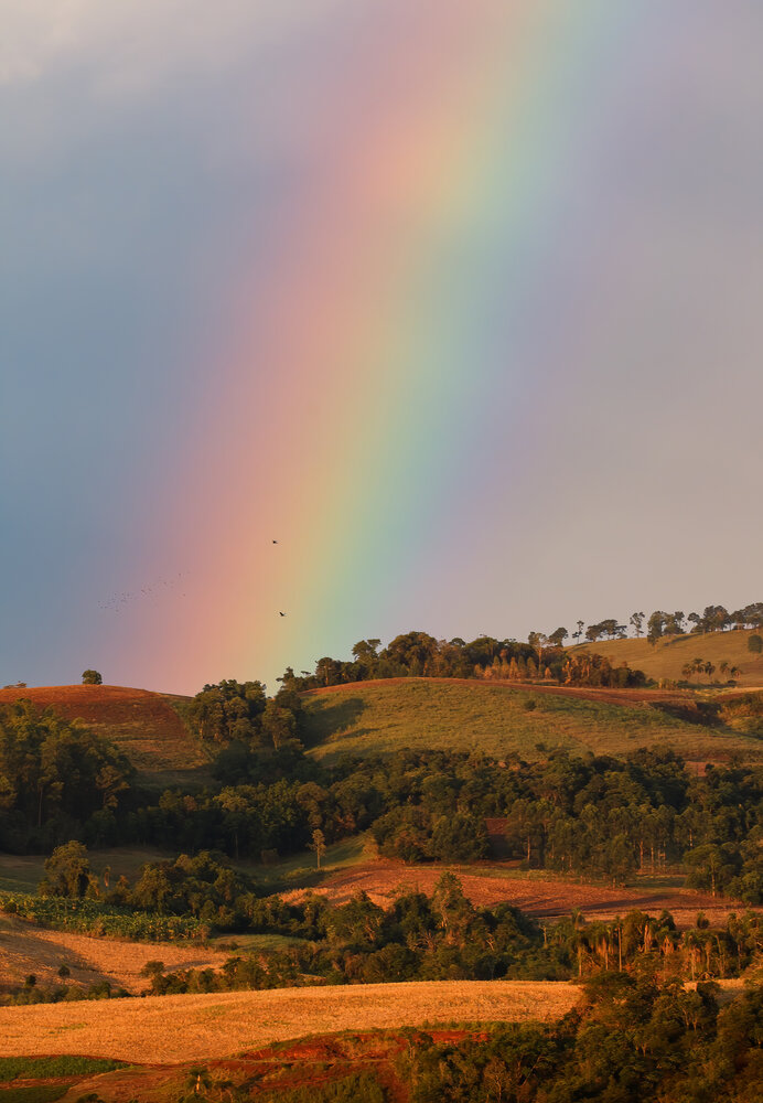 Photograph by Valdir Hobus