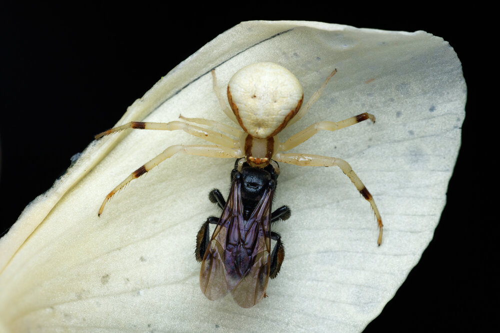 Photograph by Cassius Cardoso