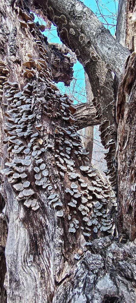 Photo #13950664