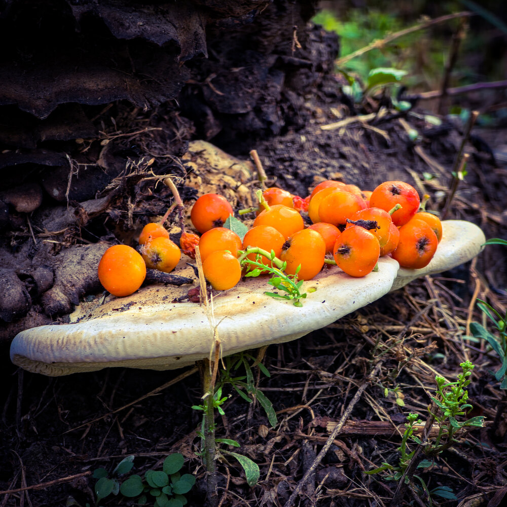 Photograph by Александр Вихарев