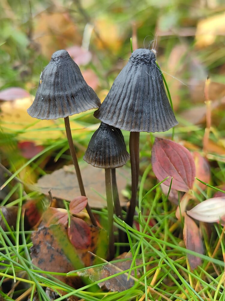 Photograph by Ольга Попова