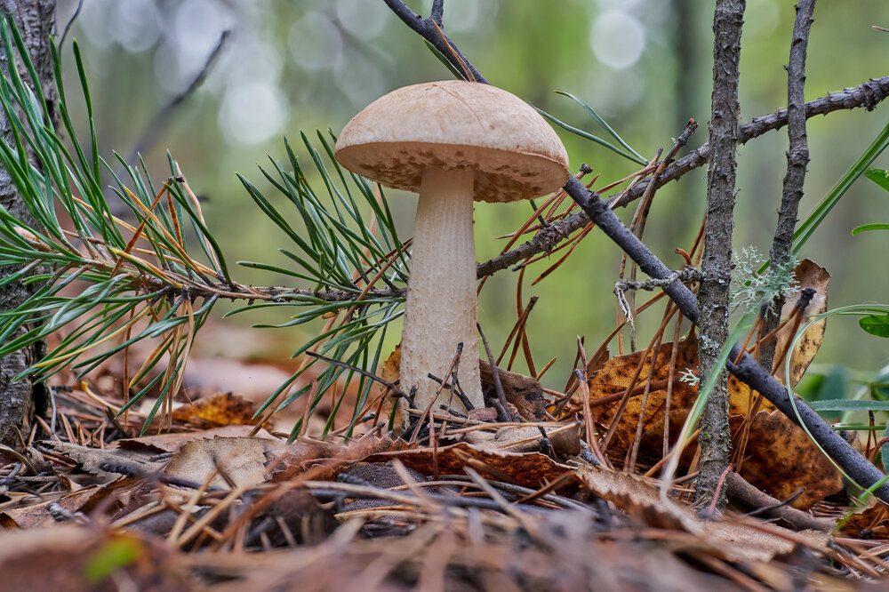 Photograph by Андрей Ткаченко