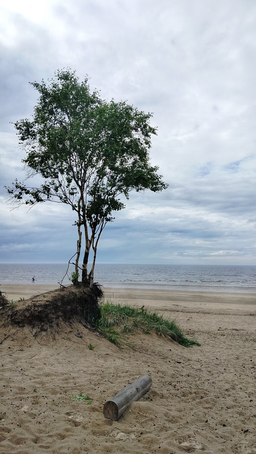 Photo #13950730