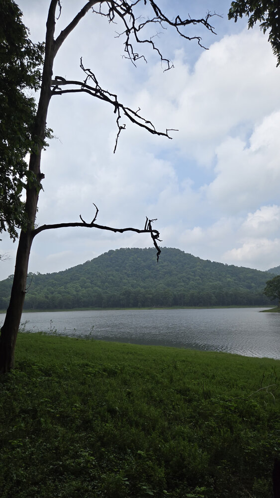 Nature’s Serenity