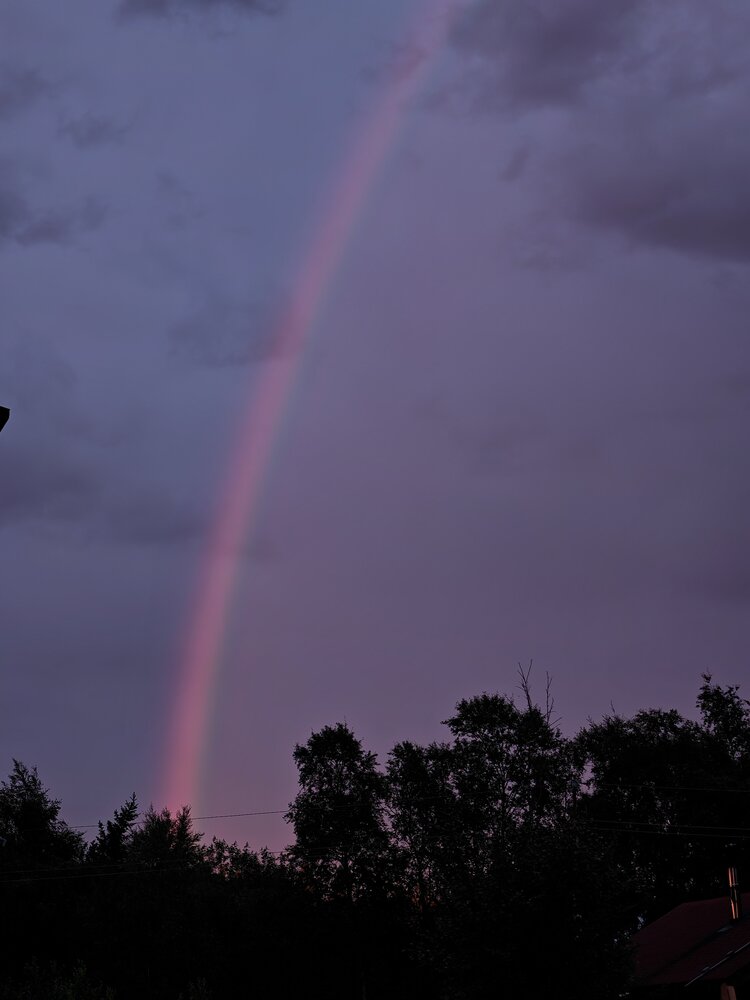 Photograph by Наталья Половая