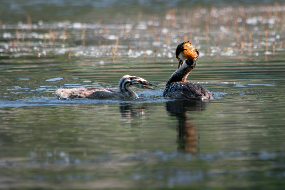 Photograph by Tatiana Alieva