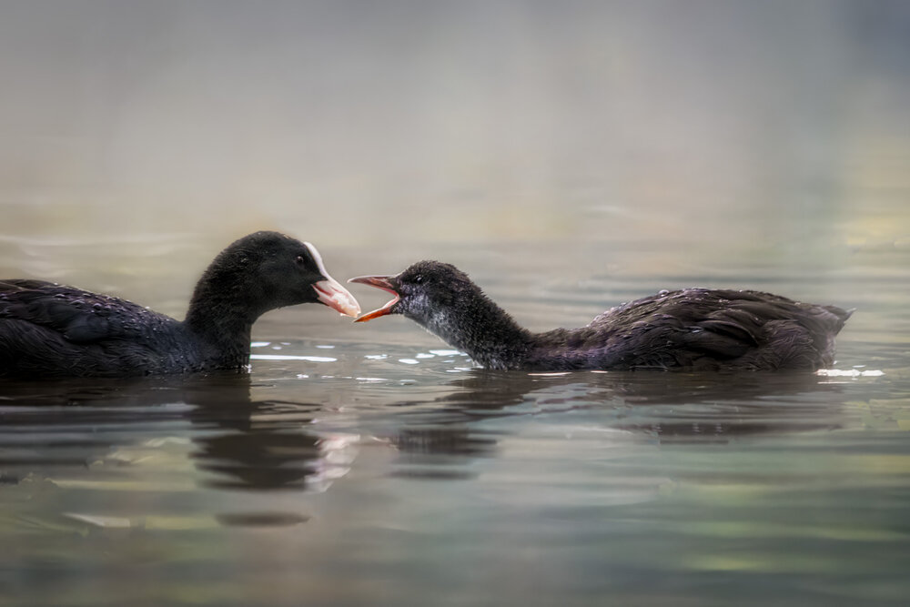 Photograph by Tatiana Alieva