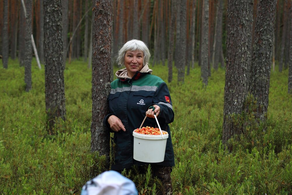 Photograph by Елена Наленч