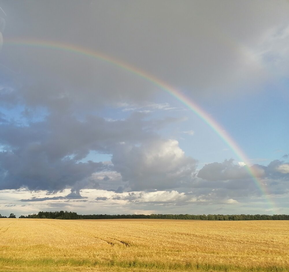 Photograph by Татьяна Василевская