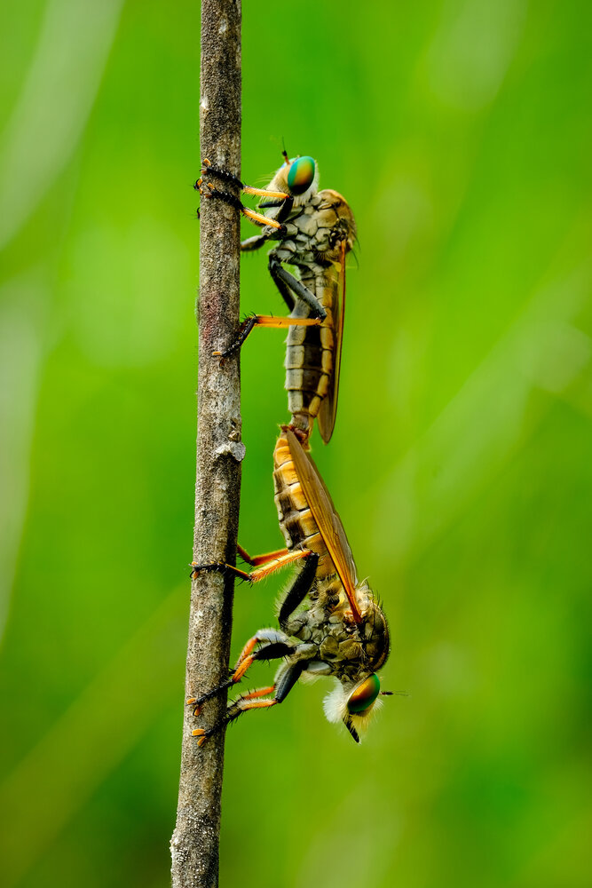 Photograph by catur handoko